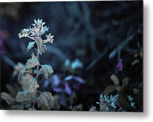 Nature Art Metal Print featuring the photograph Underworld by Gian Smith