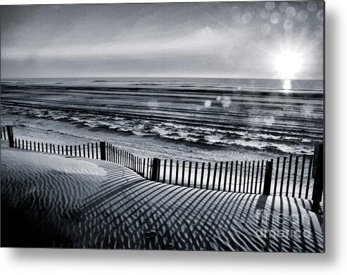Aurora Metal Print featuring the photograph Until Then My Love - Monochrome by Robyn King