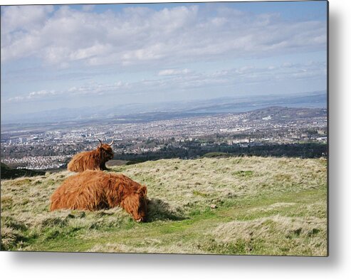 Edinburgh Metal Print featuring the photograph Up On The Hill by Tanya Doan