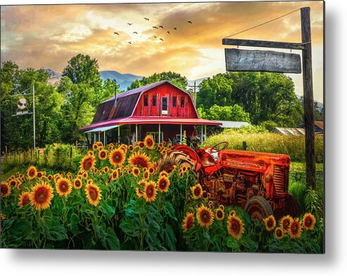Barns Metal Print featuring the photograph Valley Sunflower Farm by Debra and Dave Vanderlaan