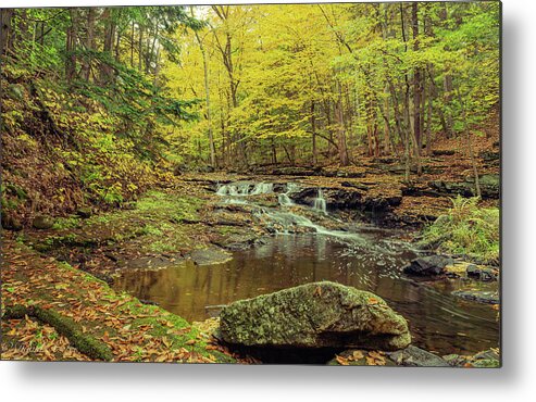 Landscape Metal Print featuring the photograph Vaughan Brook in Vaughan Woods by David Lee
