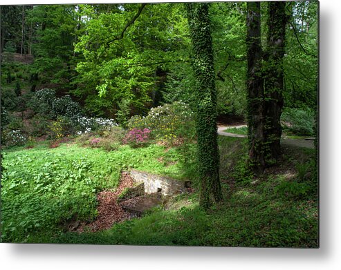 Jenny Rainbow Fine Art Photography Metal Print featuring the photograph Vibrant Greens of Spring by Jenny Rainbow