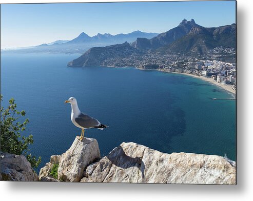 Seagull Metal Print featuring the photograph View towards the mountains of the Mediterranean coast by Adriana Mueller