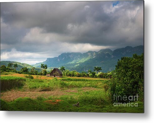 Vinales Metal Print featuring the photograph Vinales valley by Yuri Santin