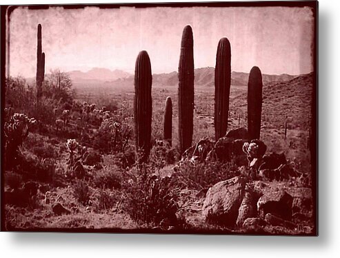 Western Landscape Metal Print featuring the photograph Vintage View of Table Top Mountain by Judy Kennedy