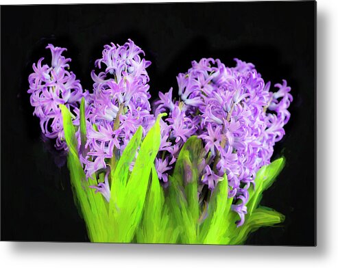 Hyacinths Metal Print featuring the photograph Violet Hyacinths X104 by Rich Franco