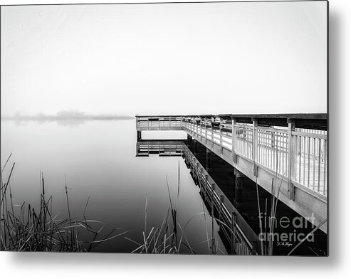 Black & White Metal Print featuring the photograph Walk To by DB Hayes
