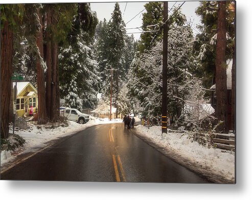 Snow Metal Print featuring the photograph Walking in a Winter Wonderland BL by Alison Frank