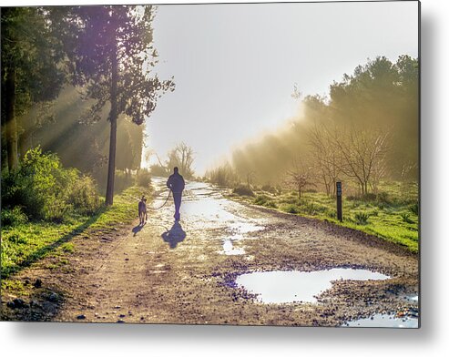Walking Metal Print featuring the photograph Walking into the morning mist by Dubi Roman