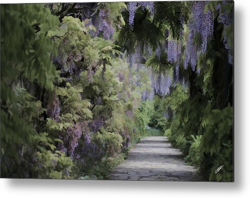 Landscape Metal Print featuring the painting Walking Path Through Blooming Wisteria - DWP4284677 by Dean Wittle