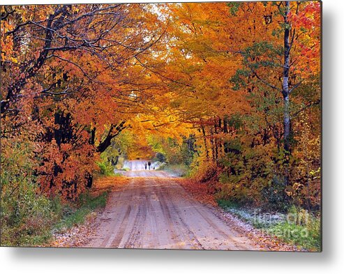 Autumn Metal Print featuring the photograph Walking the Dog by Terri Gostola