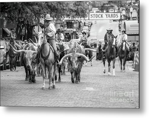 Landscape Metal Print featuring the photograph Walking The Last Mile by Diana Mary Sharpton