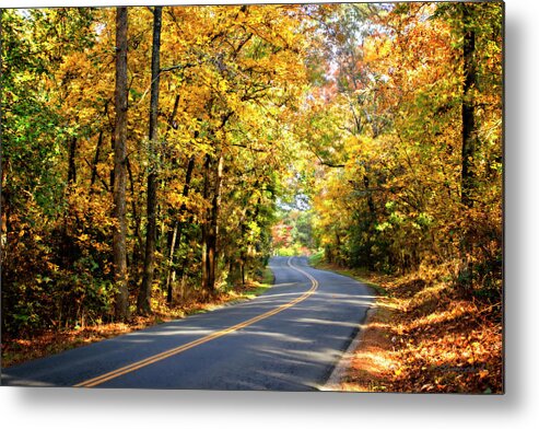 Color Metal Print featuring the photograph Walnut Grove Road -2 by Alan Hausenflock