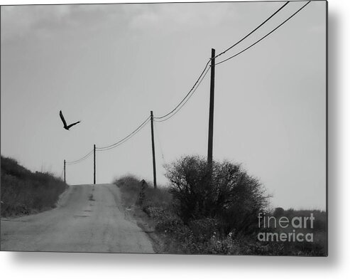 Road Metal Print featuring the photograph Was It Just A Dream? by Jeff Hubbard