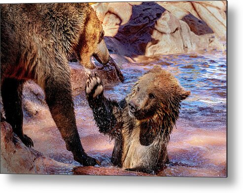 Sedona Metal Print featuring the photograph Water Battle by Al Judge