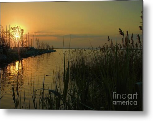 Sunrise Metal Print featuring the photograph Water Reflections by Diana Mary Sharpton