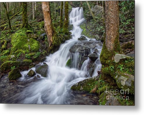 Middle Prong Trail Metal Print featuring the photograph Waterfall In The Smokies 7 by Phil Perkins