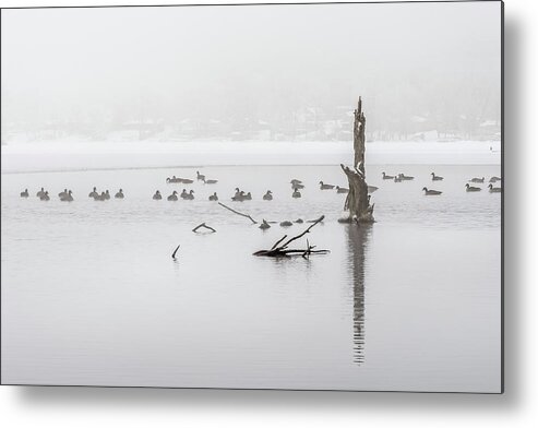 Fog Metal Print featuring the photograph We Flock Together by Paulette Marzahl