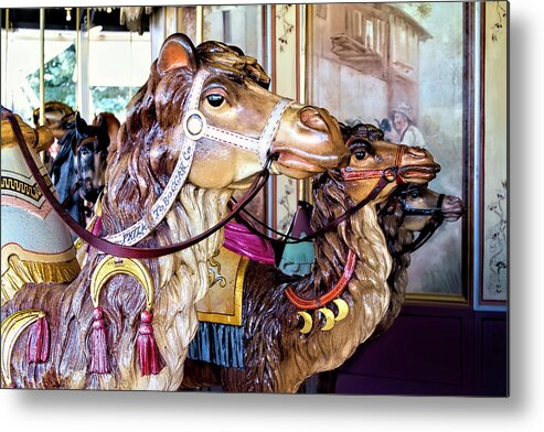 Carousel Metal Print featuring the photograph We Three Camels by Alana Thrower