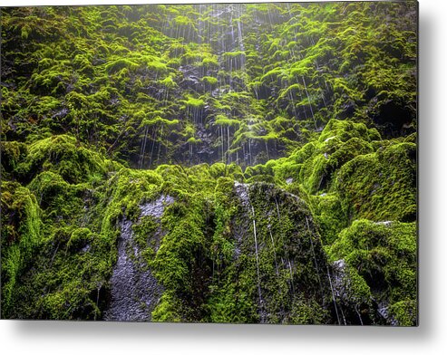 Rain Metal Print featuring the photograph Weeping Walls by Darren White