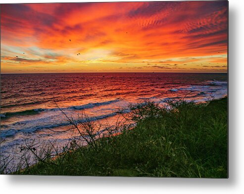 Cape Cod Metal Print featuring the photograph Wellfleet by Thomas Sweeney