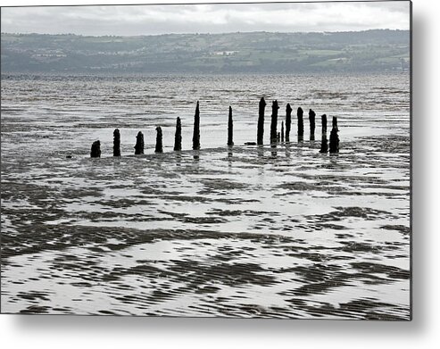 Wirral Metal Print featuring the photograph WEST KIRBY. Stakes on The Shoreline. by Lachlan Main