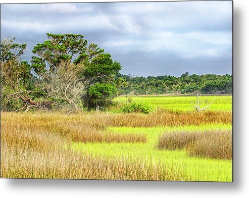Wetlands Metal Print featuring the photograph Wetlands at Fort Macon State Park - Atlantic Beach NC by Bob Decker