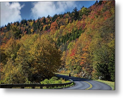 Autumn Metal Print featuring the photograph What a Colorful Ride by Ronald Lutz