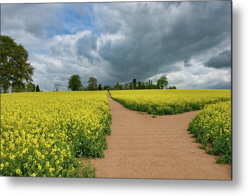 Landscape Metal Print featuring the photograph Which way? by Remigiusz MARCZAK