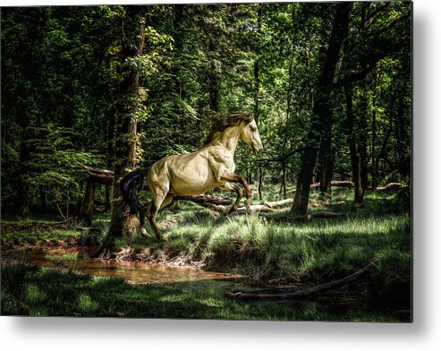 Horse Metal Print featuring the photograph Whisper of a dream - Horse Art by Lisa Saint