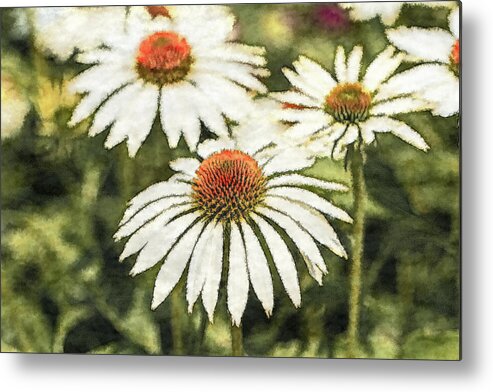White Flowers Metal Print featuring the photograph White Coneflowers by Tanya C Smith