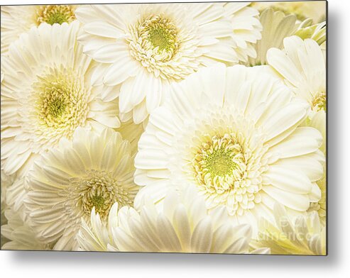  Metal Print featuring the photograph White Flower Bouquet by Marilyn Cornwell