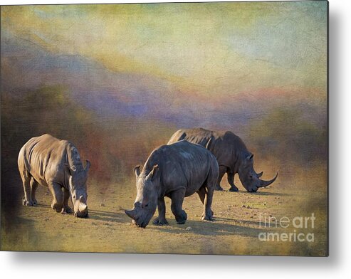 White Rhinoceros Metal Print featuring the photograph White Rhinos by Eva Lechner
