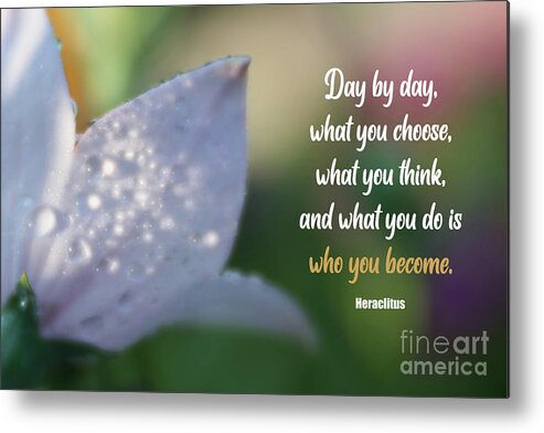 Flower Metal Print featuring the photograph Who You Become by Amy Dundon