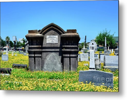 Old Metal Print featuring the photograph Wild Daisies Cover a Cemetery by Diana Mary Sharpton