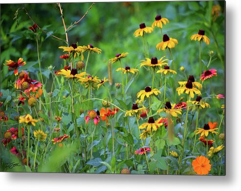 Wildflowers Metal Print featuring the photograph Wildflower Symphony by Rod Seel