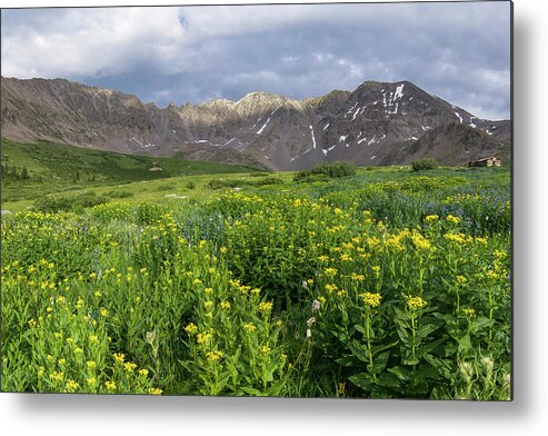Breckenridge Metal Print featuring the photograph Wildflowers in Mayflower Gulch by Aaron Spong