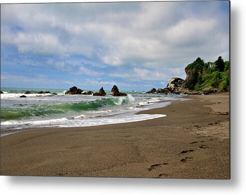 Del Norte Coast Metal Print featuring the photograph Wilson Creek Beach by Lana Trussell