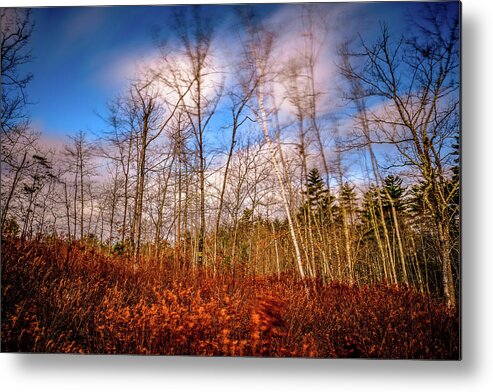 New Hampshire Metal Print featuring the photograph Wind Blown Vignette by Jeff Sinon