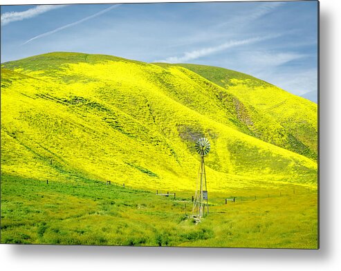 Windmill Metal Print featuring the photograph Windmill and Wildflowers by Lindsay Thomson