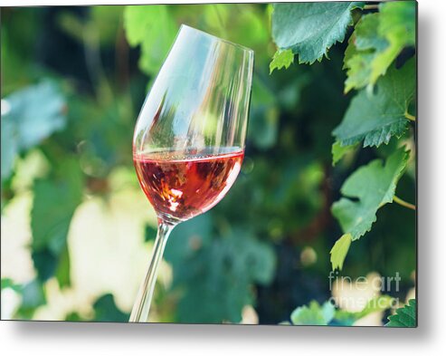 Wine Metal Print featuring the photograph Wine tasting in outdoor winery. by Jelena Jovanovic