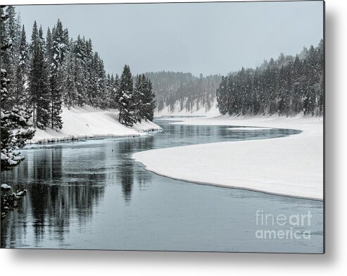 Landscape Metal Print featuring the photograph Winter Beauty by Sandra Bronstein
