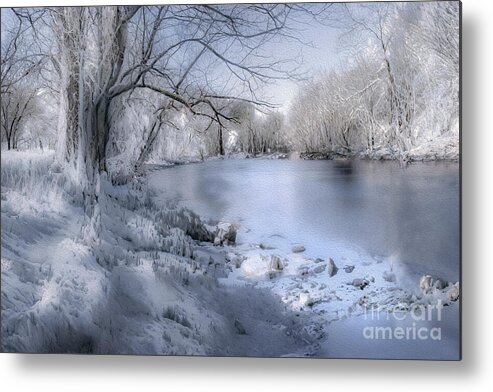 Winter Blues Metal Print featuring the photograph Winter Blues on Ice by Shelia Hunt
