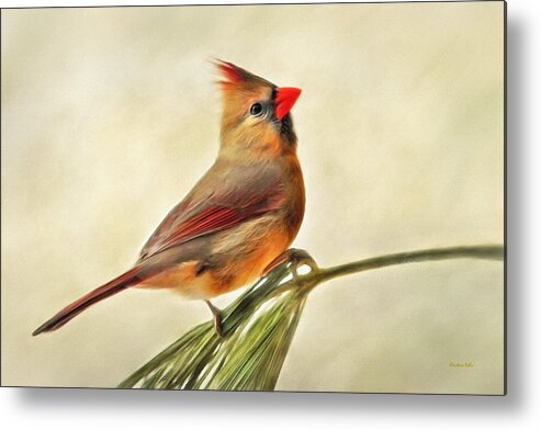 Winter Metal Print featuring the painting Winter Cardinal by Christina Rollo