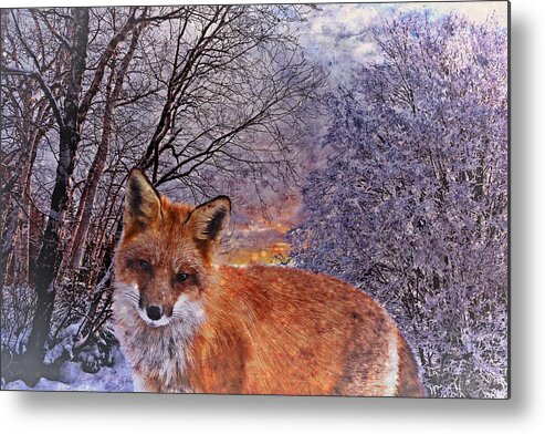 Fox Metal Print featuring the photograph Winter Fox by Ally White