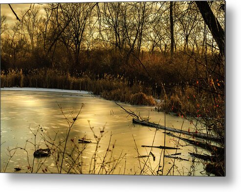 _dsc4532 Metal Print featuring the photograph Winter Pond by Ed Peterson