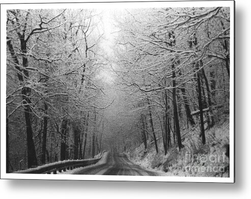 Winter Metal Print featuring the photograph Winter Rt 528 by Mary Kobet