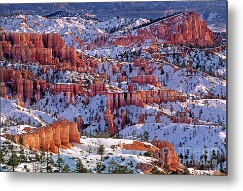 Dave Welling Metal Print featuring the photograph Winter Sinking Ship And Hoodoos Bryce Canyon National Park by Dave Welling