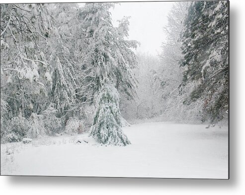 Snow Metal Print featuring the mixed media Winterland by Moira Law