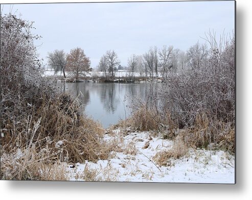 Winter Metal Print featuring the photograph Wintry Riverbank by Carol Groenen